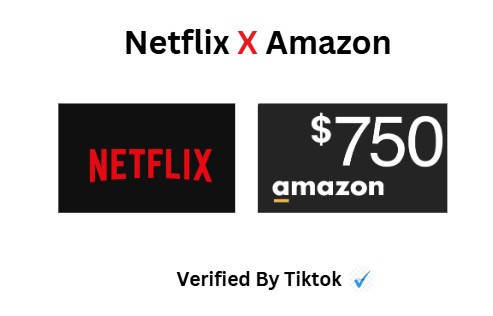 Netflix and Amazon Offer Logo
